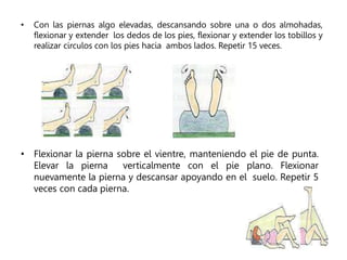 • Con las piernas algo elevadas, descansando sobre una o dos almohadas,
flexionar y extender los dedos de los pies, flexionar y extender los tobillos y
realizar circulos con los pies hacia ambos lados. Repetir 15 veces.
• Flexionar la pierna sobre el vientre, manteniendo el pie de punta.
Elevar la pierna verticalmente con el pie plano. Flexionar
nuevamente la pierna y descansar apoyando en el suelo. Repetir 5
veces con cada pierna.
 