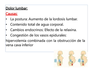 Dolor lumbar:
Causas:
• La postura: Aumento de la lordosis lumbar.
• Contenido total de agua corporal.
• Cambios endocrinos: Efecto de la relaxina.
• Congestión de los vasos epidurales:
hipervolemia combinada con la obstrucción de la
vena cava inferior
 