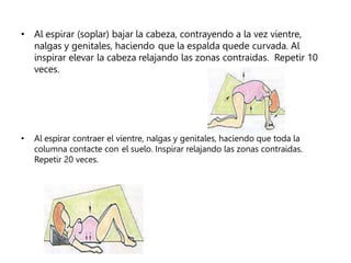 • Al espirar (soplar) bajar la cabeza, contrayendo a la vez vientre,
nalgas y genitales, haciendo que la espalda quede curvada. Al
inspirar elevar la cabeza relajando las zonas contraidas. Repetir 10
veces.
• Al espirar contraer el vientre, nalgas y genitales, haciendo que toda la
columna contacte con el suelo. Inspirar relajando las zonas contraidas.
Repetir 20 veces.
 