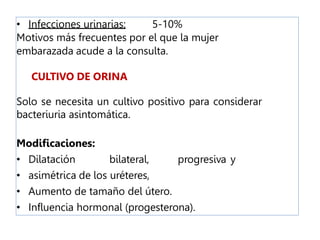 • Infecciones urinarias: 5-10%
Motivos más frecuentes por el que la mujer
embarazada acude a la consulta.
CULTIVO DE ORINA
Solo se necesita un cultivo positivo para considerar
bacteriuria asintomática.
Modificaciones:
• Dilatación bilateral, progresiva y
• asimétrica de los uréteres,
• Aumento de tamaño del útero.
• Influencia hormonal (progesterona).
 