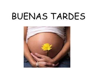 BUENAS TARDES
 