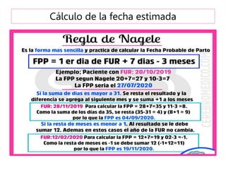 Cálculo de la fecha estimada
 