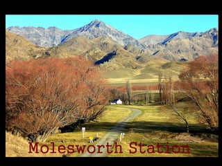 Molesworth Station, New Zealand