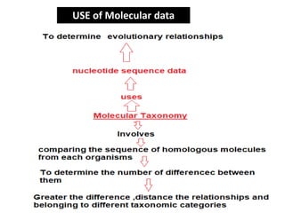 USE of Molecular data
 