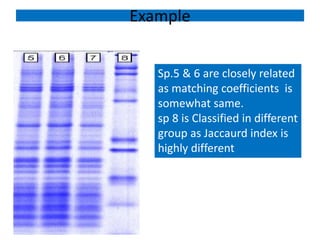 Example
Sp.5 & 6 are closely related
as matching coefficients is
somewhat same.
sp 8 is Classified in different
group as Jaccaurd index is
highly different
 