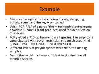 Example
• Raw meat samples of cow, chicken, turkey, sheep, pig,
buffalo, camel and donkey was studied
• Using PCR-RFLP of a part of the mitochondrial cytochrome
c oxidase subunit 1 (COI) gene was used for identification
of species.
• PCR yielded a 710-bp fragment in all species. The amplicons
were digested with seven restriction endonucleases (Hind
II, Ava II, Rsa I, Taq I, Hpa II, Tru 1I and Xba I) .
• Different levels of polymorphism were detected among
samples.
• Restriction with Hpa II was sufficient to discriminate all
targeted species.
 