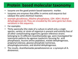 Protein based molecular taxonomy
• Isozyme are the good protein based taxonomic marker.
• Isozymes are enzymes that differ in amino acid sequence but
catalyze the same chemical reaction.
• example glucokinase,,Alkaline phosphatase, LDH. ADH ( Alcohal
dehydrogenase) etc They are encoded by the same gene but show
variations in the sequence.
• For examples
• Thirty axenically (the state of a culture in which only a single
species, variety, or strain of organism is present and entirely free of
all other contaminating organisms.)grown reference strains
belonging to 15 different Acanthamoeba spp. were investigated for
isoenzyme patterns by agarose isoelectric focusing for acid
phosphatase, leucine amino peptidase, malate dehydrogenase,
propionyl esterase, glucose phosphate isomerase,
phosphoglucomutase, and alcohol dehydrogenase.
• The results. Acanthamoeba paradivionensis as a synonym of A.
divionensis.
 