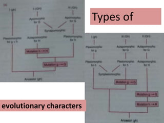 Types of
evolutionary characters
 