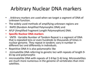 Arbitrary Nuclear DNA markers
• Arbitrary markers are used when we target a segment of DNA of
unknown function.
• The widely used methods of amplifying unknown regions are
• RAPD (Random Amplified Polymorphic DNA) and
• AFLP (Amplified Fragment Length Polymorphism) DNA.
• Specific Nuclear DNA markers
• VNTR - Variable Number of Tandem Repeat is a segment of DNA
that is repeated tens or even hundreds to thousands of times in
nuclear genome. They repeat in tandem; vary in number in
different loci and differently in individuals.
• Repetitive DNA It is also polymorphic like
• minisatellite DNA referring to genetic loci with repeats of length 9-
65 bp and polymorphic
• microsatellite DNA with repeats of 2-8 bp (1-6) long. Microsatellites
are much more numerous in the genome of vertebrates than mini
satellites.
 