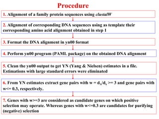 Mol evolution | PPT