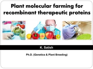 Plant molecular farming for
recombinant therapeutic proteins
Ph.D. (Genetics & Plant Breeding)
K. Satish
 