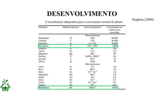 DESENVOLVIMENTO
Concentrações adequadas para o crescimento normal da planta.
Hopkins (2000)
 