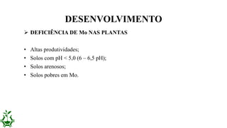  DEFICIÊNCIA DE Mo NAS PLANTAS
• Altas produtividades;
• Solos com pH < 5,0 (6 – 6,5 pH);
• Solos arenosos;
• Solos pobres em Mo.
DESENVOLVIMENTO
 