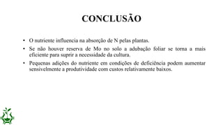 • O nutriente influencia na absorção de N pelas plantas.
• Se não houver reserva de Mo no solo a adubação foliar se torna a mais
eficiente para suprir a necessidade da cultura.
• Pequenas adições do nutriente em condições de deficiência podem aumentar
sensivelmente a produtividade com custos relativamente baixos.
CONCLUSÃO
 