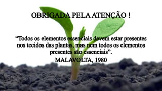 Apresentação Molibdênio (Mo)