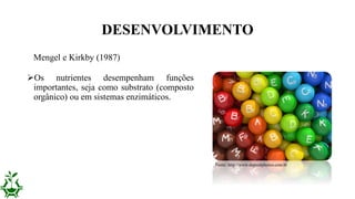 DESENVOLVIMENTO
Os nutrientes desempenham funções
importantes, seja como substrato (composto
orgânico) ou em sistemas enzimáticos.
Mengel e Kirkby (1987)
Fonte: http://www.depositphotos.com.br
 