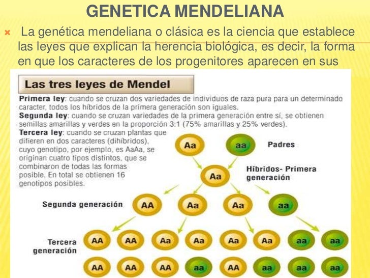 Imagen relacionada