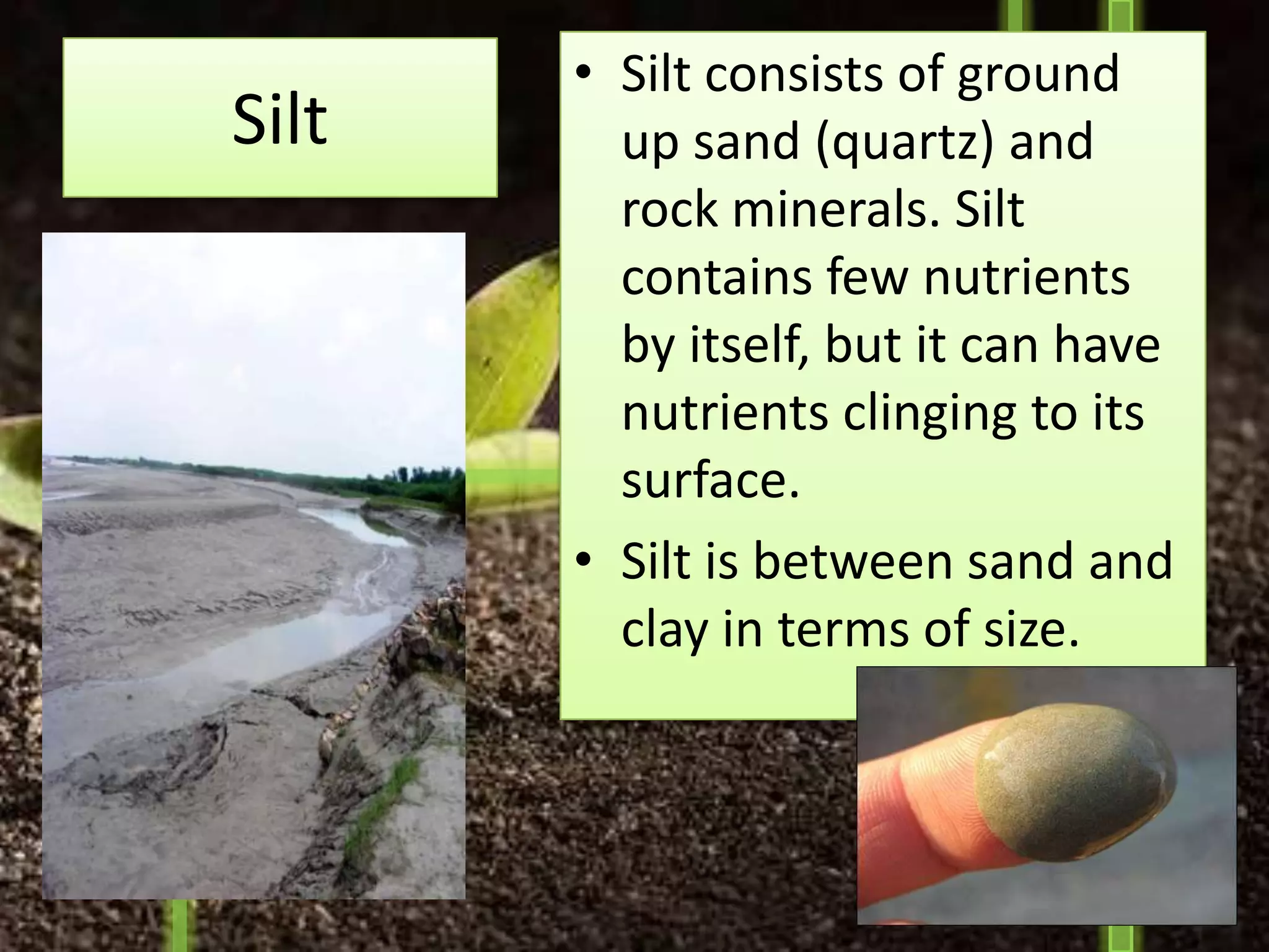• Silt consists of ground
Silt     up sand (quartz) and
         rock minerals. Silt
         contains few nutrients
         by itself, but it can have
         nutrients clinging to its
         surface.
       • Silt is between sand and
         clay in terms of size.
 