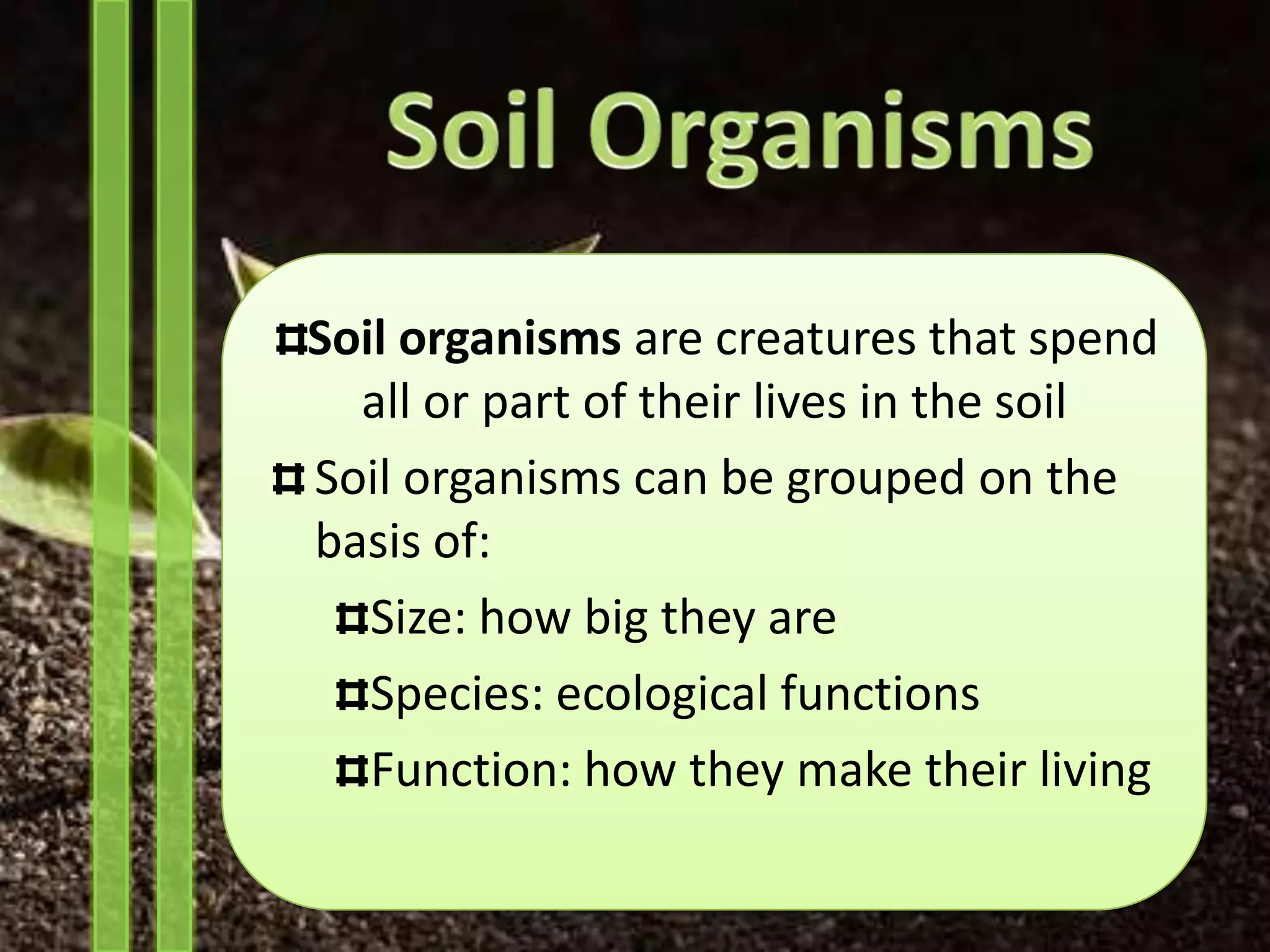 Soil organisms are creatures that spend
  all or part of their lives in the soil
Soil organisms can be grouped on the
basis of:
   Size: how big they are
   Species: ecological functions
   Function: how they make their living
 