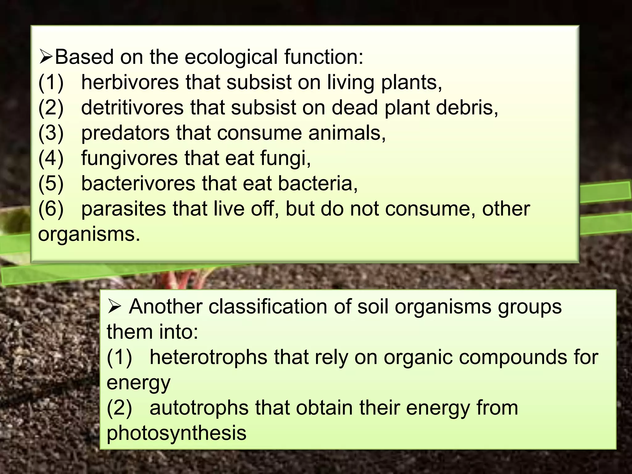 Based on the ecological function:
(1) herbivores that subsist on living plants,
(2) detritivores that subsist on dead plant debris,
(3) predators that consume animals,
(4) fungivores that eat fungi,
(5) bacterivores that eat bacteria,
(6) parasites that live off, but do not consume, other
organisms.


        Another classification of soil organisms groups
       them into:
       (1) heterotrophs that rely on organic compounds for
       energy
       (2) autotrophs that obtain their energy from
       photosynthesis
 