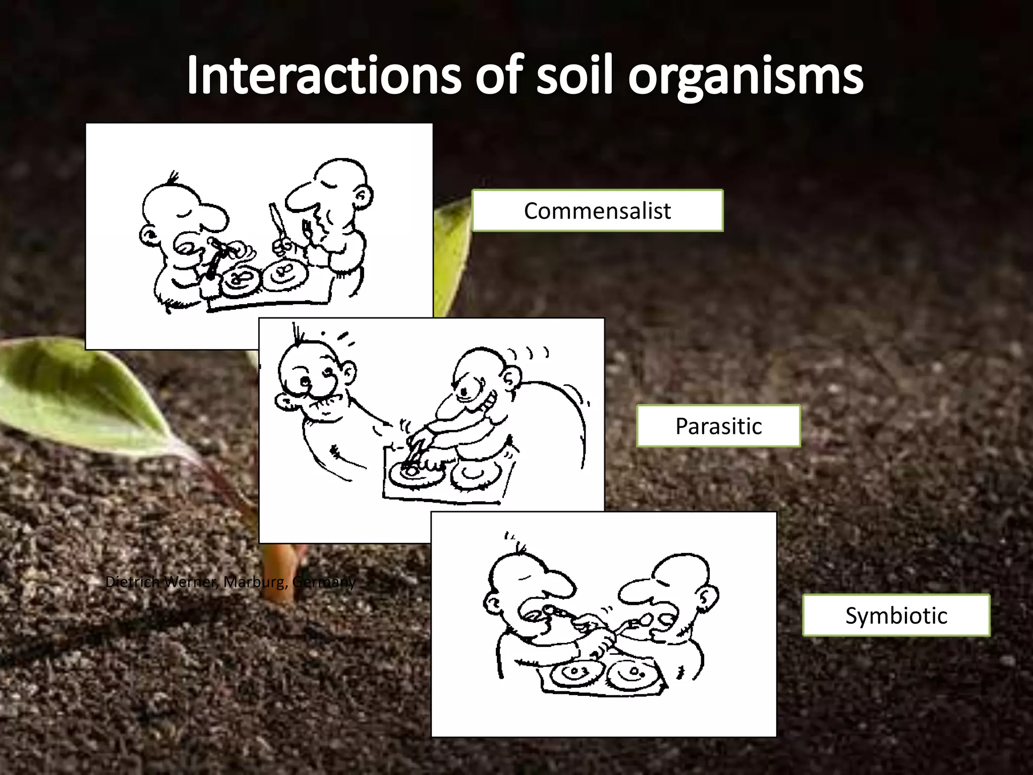 Commensalist




                                                   Parasitic




Dietrich Werner, Marburg, Germany

                                                               Symbiotic
 