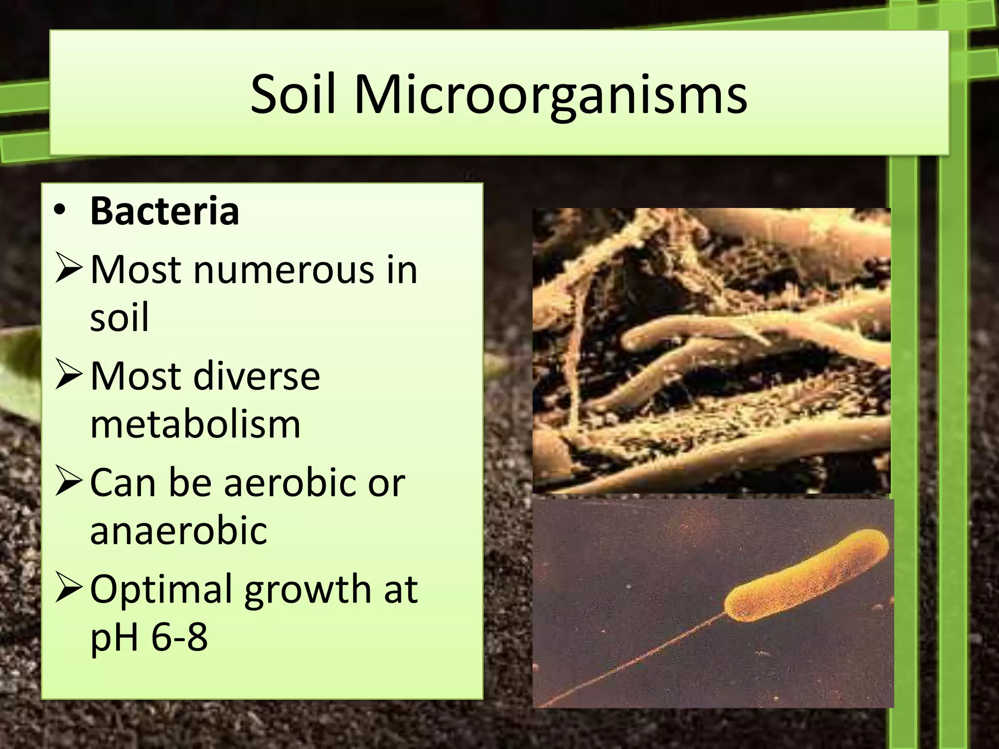 Soil Microorganisms
• Bacteria
Most numerous in
  soil
Most diverse
  metabolism
Can be aerobic or
  anaerobic
Optimal growth at
  pH 6-8
 