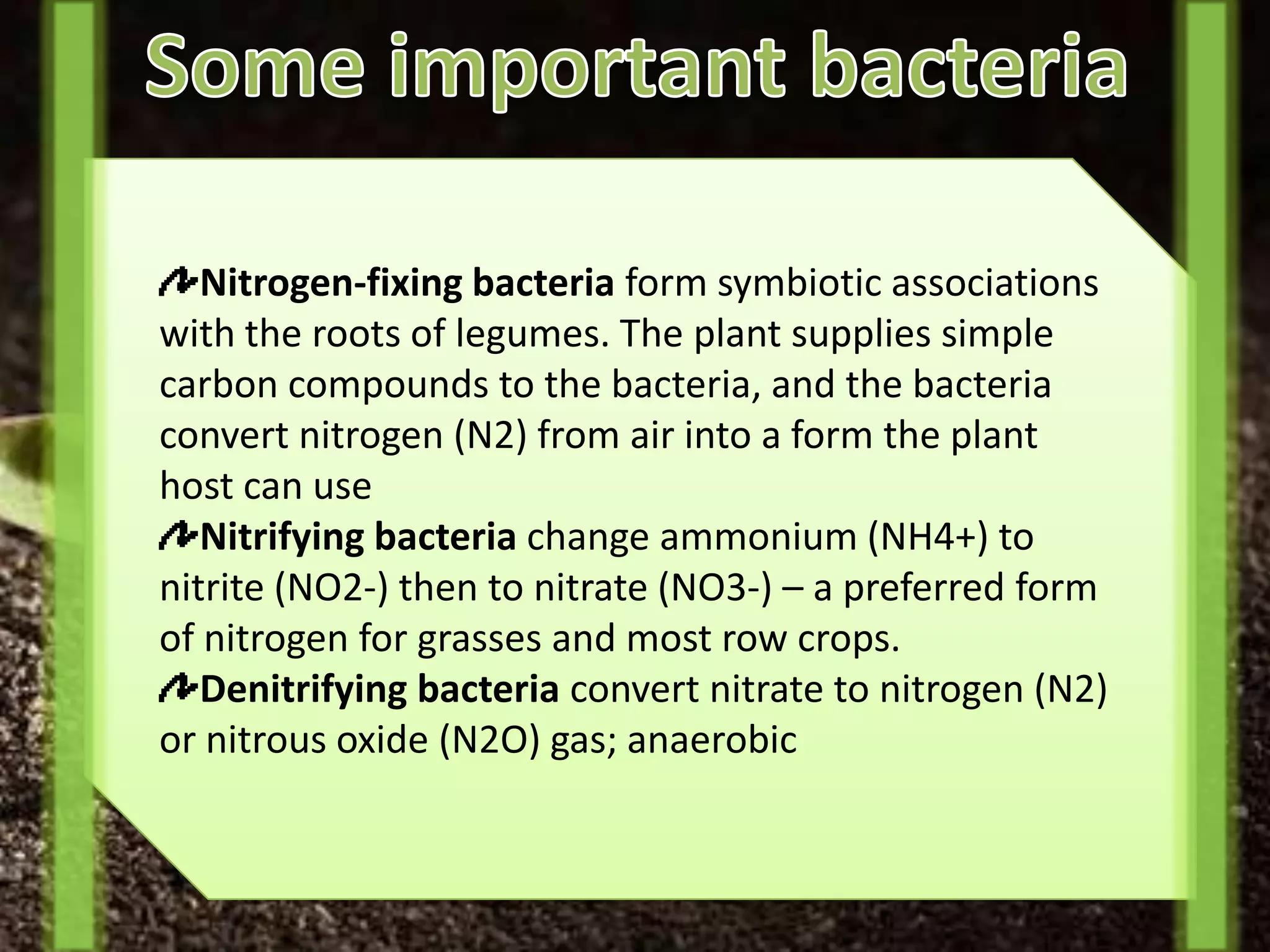 Nitrogen-fixing bacteria form symbiotic associations
with the roots of legumes. The plant supplies simple
carbon compounds to the bacteria, and the bacteria
convert nitrogen (N2) from air into a form the plant
host can use
   Nitrifying bacteria change ammonium (NH4+) to
nitrite (NO2-) then to nitrate (NO3-) – a preferred form
of nitrogen for grasses and most row crops.
   Denitrifying bacteria convert nitrate to nitrogen (N2)
or nitrous oxide (N2O) gas; anaerobic
 