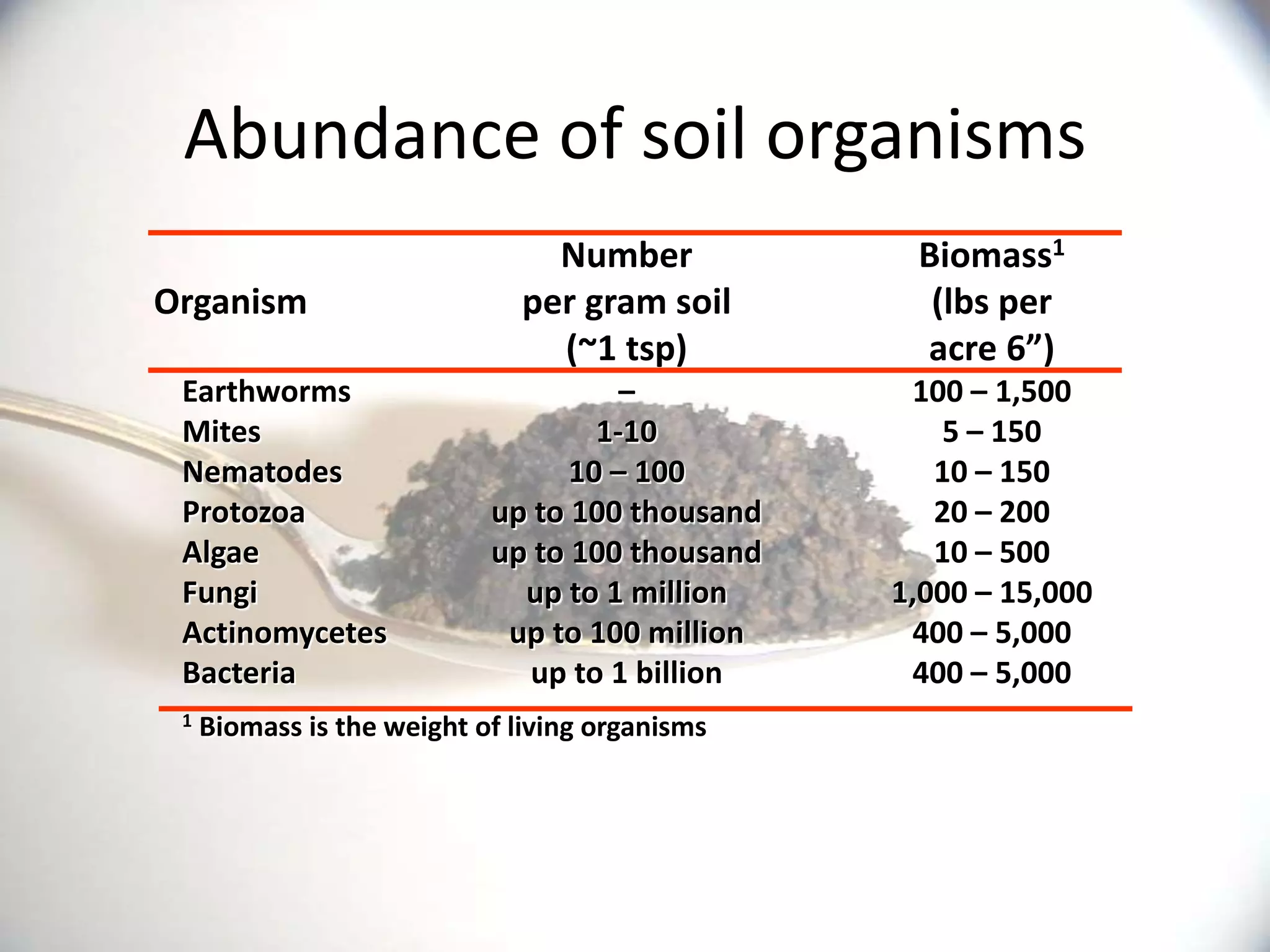 Abundance of soil organisms
                                 Number           Biomass1
Organism                       per gram soil       (lbs per
                                 (~1 tsp)         acre 6”)
 Earthworms                           –           100 – 1,500
 Mites                              1-10             5 – 150
 Nematodes                        10 – 100          10 – 150
 Protozoa                   up to 100 thousand      20 – 200
 Algae                      up to 100 thousand      10 – 500
 Fungi                        up to 1 million    1,000 – 15,000
 Actinomycetes               up to 100 million    400 – 5,000
 Bacteria                     up to 1 billion     400 – 5,000
 1   Biomass is the weight of living organisms
 