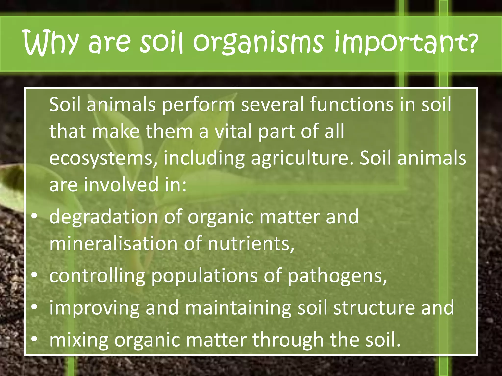 Why are soil organisms important?

    Soil animals perform several functions in soil
    that make them a vital part of all
    ecosystems, including agriculture. Soil animals
    are involved in:
•   degradation of organic matter and
    mineralisation of nutrients,
•   controlling populations of pathogens,
•   improving and maintaining soil structure and
•   mixing organic matter through the soil.
 