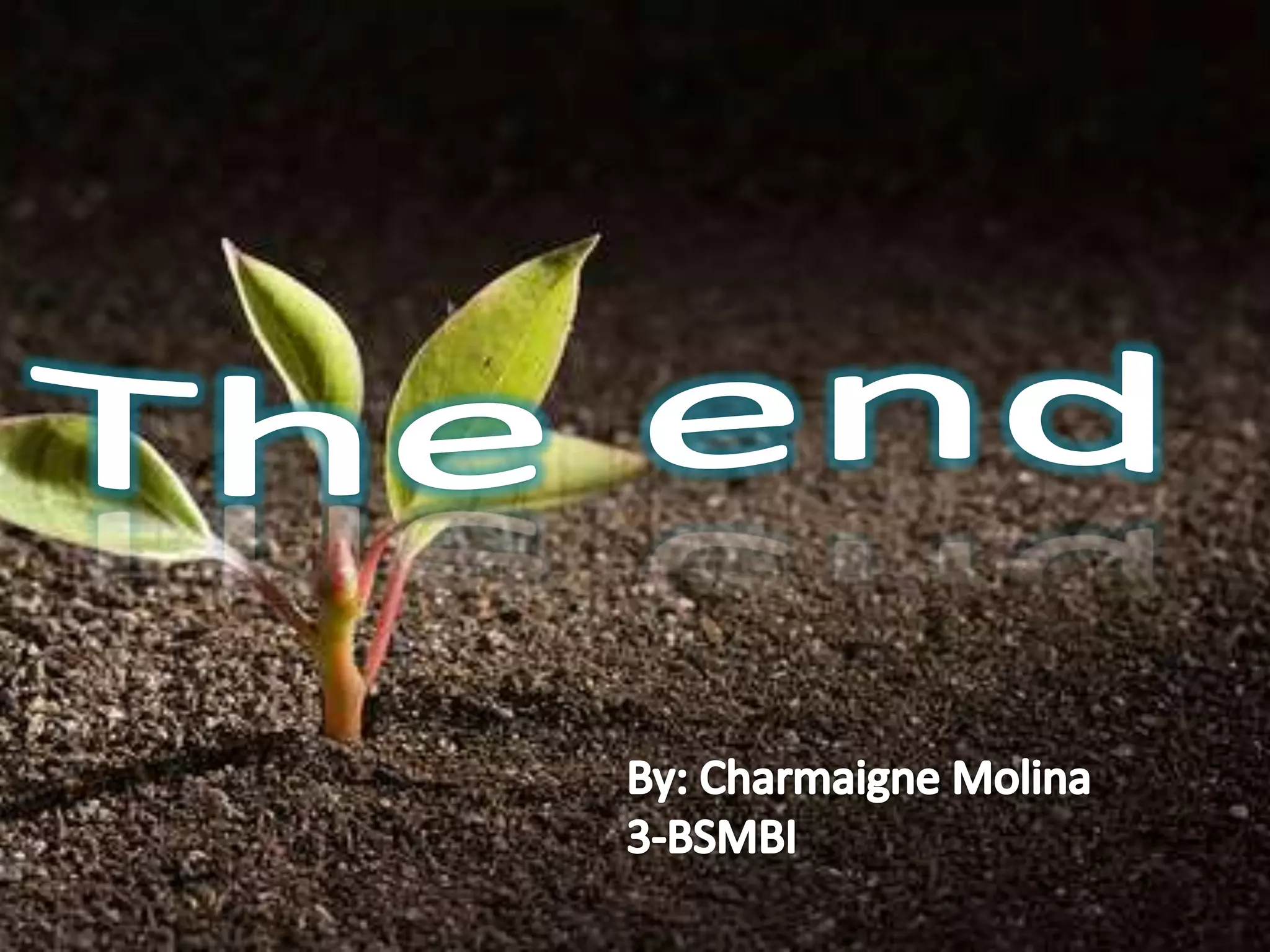Soil microbiology and cycles of the elements
