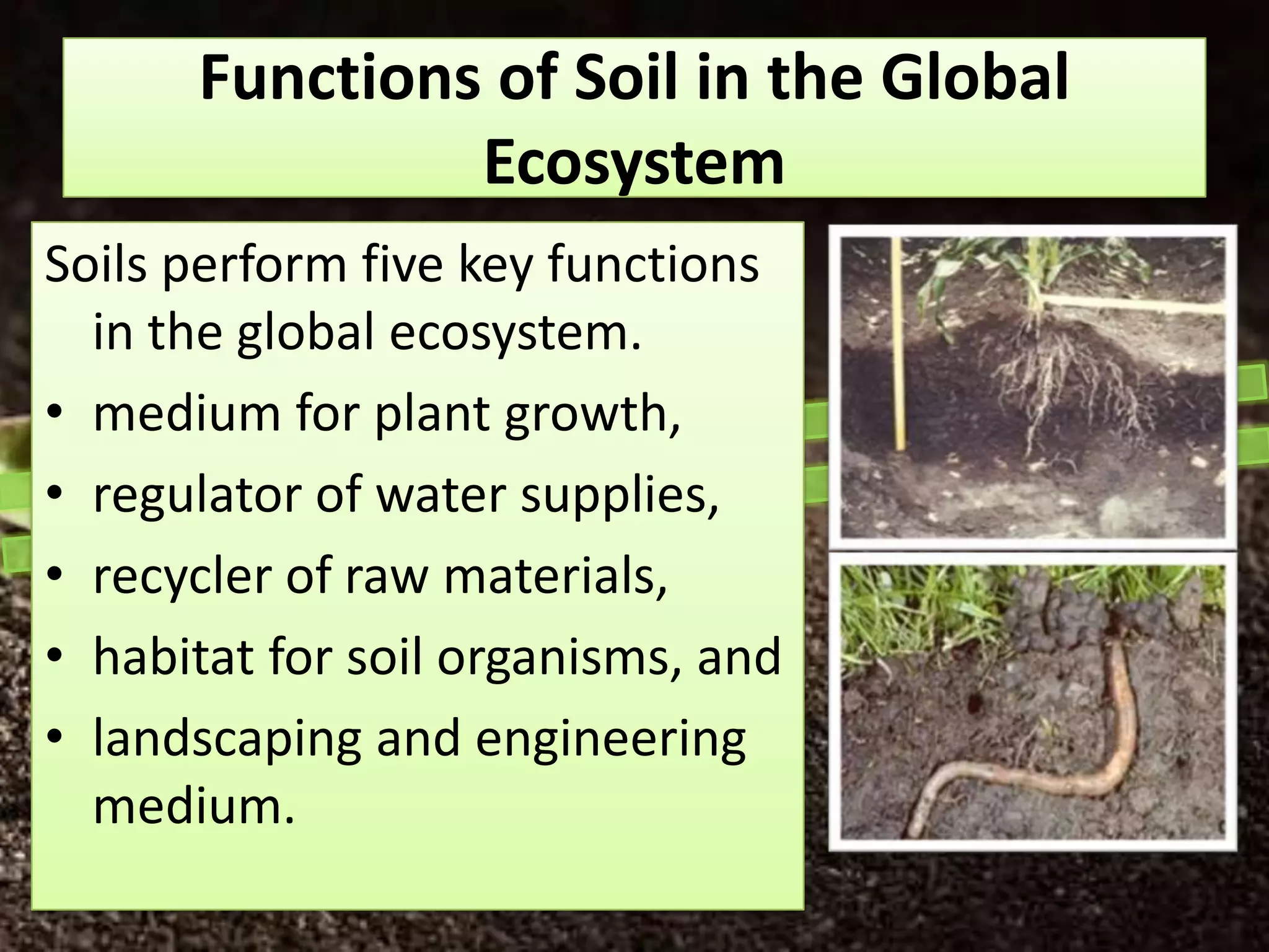 Functions of Soil in the Global
               Ecosystem
Soils perform five key functions
  in the global ecosystem.
• medium for plant growth,
• regulator of water supplies,
• recycler of raw materials,
• habitat for soil organisms, and
• landscaping and engineering
  medium.
 