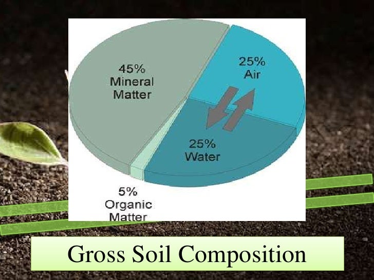 5 composition of soil elements of and the microbiology cycles Soil 5 composition of soil elements of and the microbiology cycles Soil