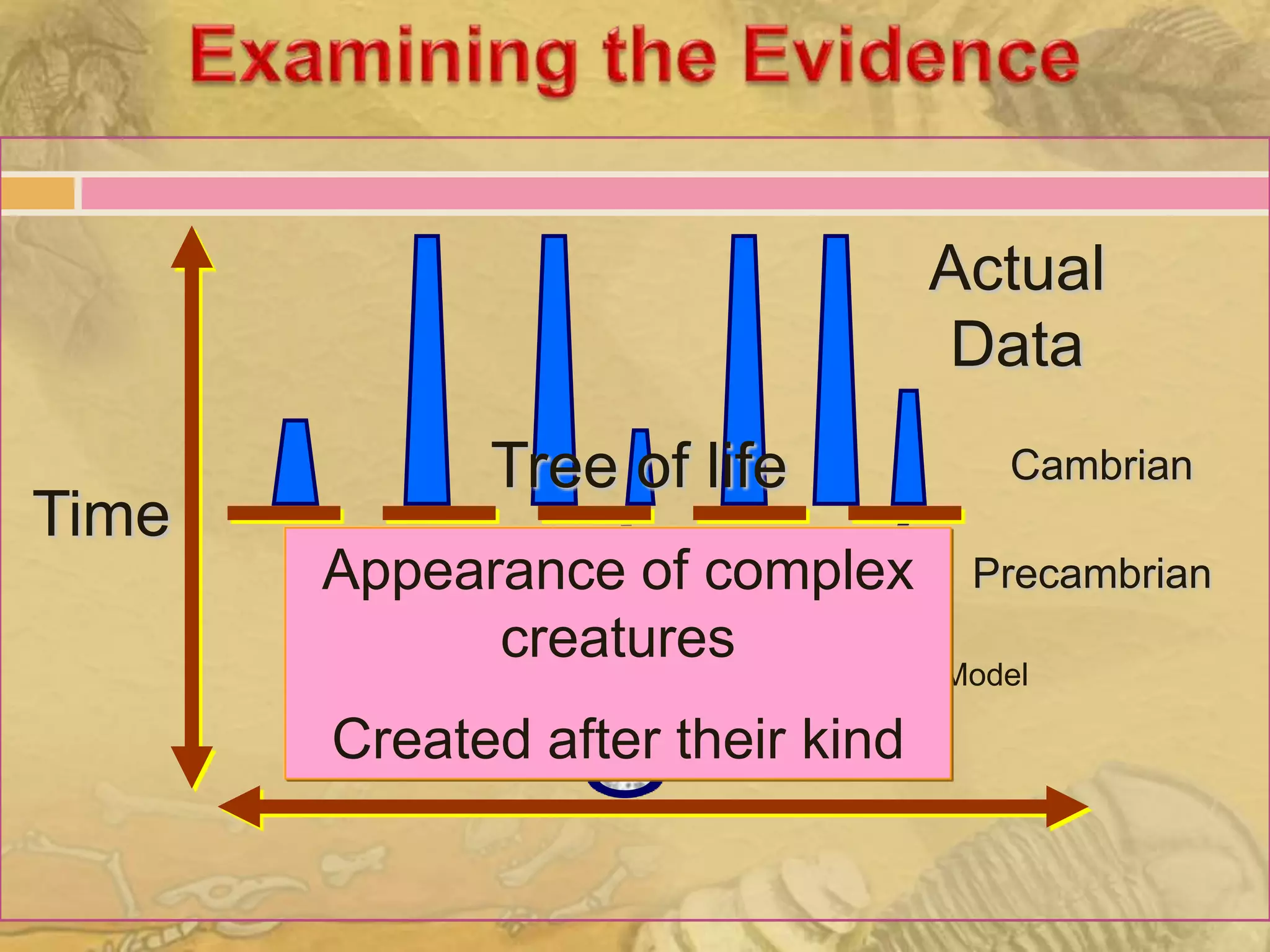 Actual
                                    Data
             Tree of life                Cambrian
Time
       Appearance of complex           Precambrian
             creatures
                            Darwinian Model

       Created after their kind
 