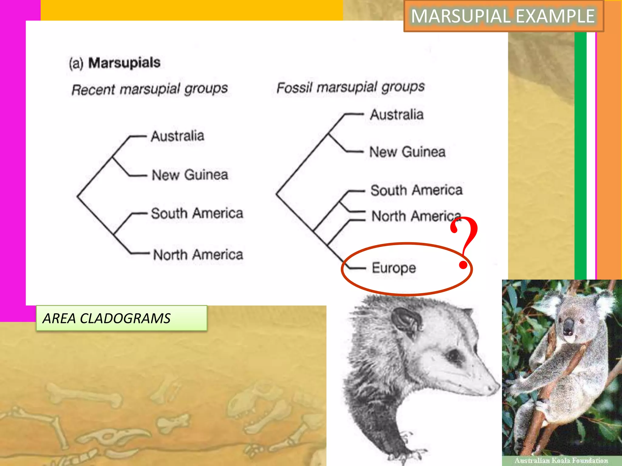 MARSUPIAL EXAMPLE




                     ?
AREA CLADOGRAMS
 