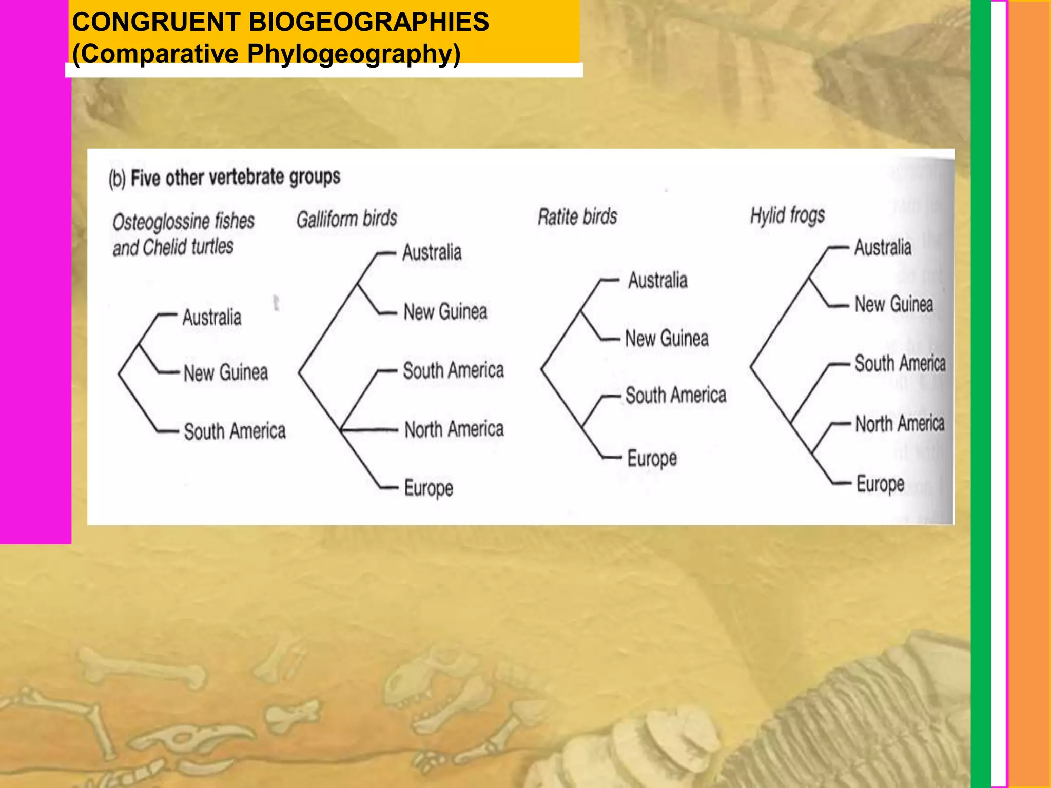 CONGRUENT BIOGEOGRAPHIES
(Comparative Phylogeography)
 