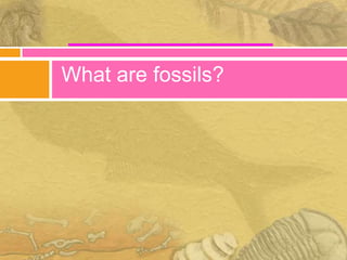 What are fossils?
 
