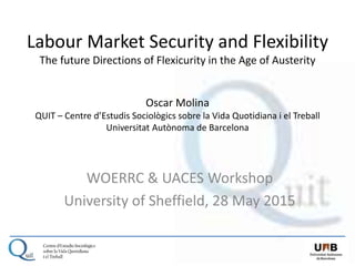 Molina flexicurity workshop sheffield final