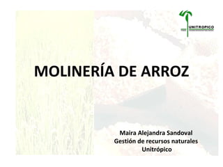 MOLINERÍA DE ARROZ Maira Alejandra Sandoval  Gestión de recursos naturales  Unitrópico 