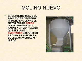 MOLINO NUEVO EN EL MOLINO NUEVO EL PROCESO ES DIFERENTE: PRIMERO LAS OLIVAS SE METEN EN UNA  TORBA ,  LUEGO POR UN CINTA PASAN A UN VENTILADOR QUE SE LLAMA  AVENTADOR  ,SU FUNCION ES QUITAR LAS HOJAS Y SE LLEVAN AVENTADAS. LUEGO 