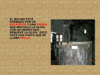 EL MOLINO ESTÁ FORMADO POR UN  RECIPIENTE  Y UNA  PIEDRA  QUE MACHACA LA OLIVA, CON UN HIERRO QUE REMUEVE LA OLIVA . ESTO HACE UNA PASTA QUE SE LLAMA  ORUJO   