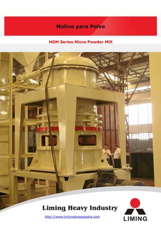 Molino para Polvo


  HGM Series Micro Powder Mill




http://www.trituradoraspiedra.com
 