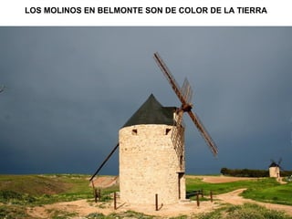 LOS MOLINOS EN BELMONTE SON DE COLOR DE LA TIERRA