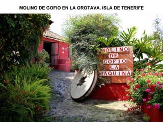 MOLINO DE GOFIO EN LA OROTAVA. ISLA DE TENERIFE