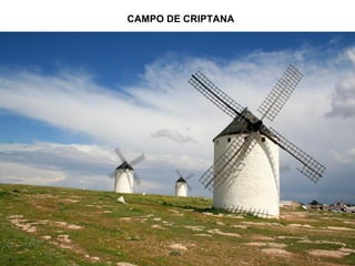 CAMPO DE CRIPTANA