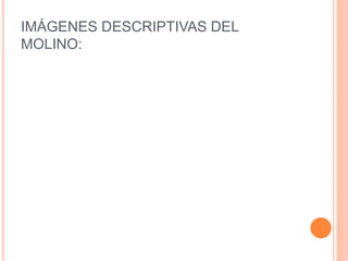 Molinos tradicionales de tineo