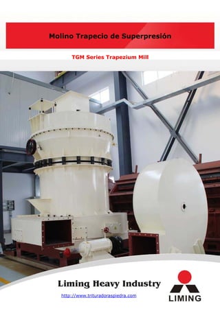 Molino Trapecio de Superpresión


       TGM Series Trapezium Mill




   http://www.trituradoraspiedra.com
 