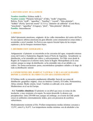 1. IDENTIFICACION DE LA ESPECIE
Nombre científico: Schinus molle L.
Nombre común: "Pimiento boliviano" (Chile), "molle" (Argentina,
Bolivia, Perú), "molli”, “aguaribay”, “huaribay”, “cuyash”, “falsa pimienta”,
“kullakz" (Perú), "peruvian mastic" (U.S.A.), "pimiento de california" (Costa Rica),
"anacahuita”, “aguaribay" (Uruguay), "pirul”, “falsa pimienta" (Bolivia)
Familia: Anacardiaceae
2. ORIGEN
Arbol típicamente americano, originario de los valles interandinos del centro del Perú.
Es una especie arbórea americana de gran difusión como ornamental en zonas áridas y
semiáridas a nivel mundial. En Perú es una especie forestal típica de las estepas
espinosas y de los bosques montanos bajos.
3. DISTRIBUCION GEOGRAFICA
Antiguamente el pimiento se encontraba en las cercanías del agua, ocupando extensas
zonas del Centro y Sudamérica llegando hasta el Norte de Argentina. Actualmente su
distribución se ha extendido por cultivo y asilvestramiento. En Chile crece desde la
Región de Tarapacá en el extremo norte, hasta la Región Metropolitana en la zona
central, aunque su rango de distribución se ha extendido más al sur debido a su
cultivo. No forma asociaciones puras, encontrándose ejemplares aislados a lo largo de
toda su distribución natural.
4. CONDICIONES DEL HABITAT NATURAL Y DE LAS LOCALIDADES
DONDE LA ESPECIE HA SIDO CULTIVADA EXITOSAMENTE
El Schinus molle se encuentra ampliamente difundido fuera de sus zonas de
distribución geográfica original, crece en América Central y El Caribe, Norteamérica,
Africa oriental, Medio oriente, Israel. También es cultivado en la zona del
Mediterráneo en el sur de Europa.
- 4.1. Variables climáticas: El pimiento es un árbol que crece en zonas de alta
insolación y muy resistente a la sequía. Su mejor desarrollo lo alcanza con
precipitaciones entre 250-600 mm; aunque sin embargo, en el norte de Chile puede
crecer en ambientes extremadamente áridos, pero con presencia de acuíferos
subterráneos.
Moderadamente resistente al frío. Prefiere temperaturas medias mínimas cercanas a
12,8°C, entre 8 y 16,4°C. Las temperaturas medias máximas son de alrededor a los
 