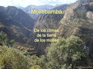 Mollebamba presentación 23 diciembre 2010