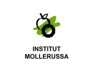 INSTITUT
MOLLERUSSA

 