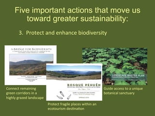 Five important actions that move us
toward greater sustainability:
Connect	
  remaining	
  
green	
  corridors	
  in	
  a	
  
highly	
  grazed	
  landscape	
  
Protect	
  fragile	
  places	
  within	
  an	
  
ecotourism	
  desHnaHon	
  
Guide	
  access	
  to	
  a	
  unique	
  
botanical	
  sanctuary	
  
3.	
  	
  Protect	
  and	
  enhance	
  biodiversity	
  
 